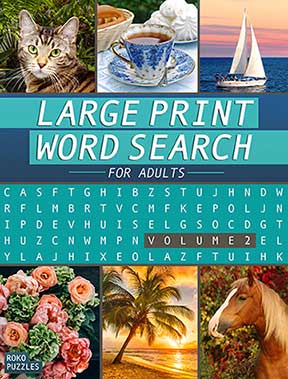 Large Print Word Search Volume 2 – Book Launch!