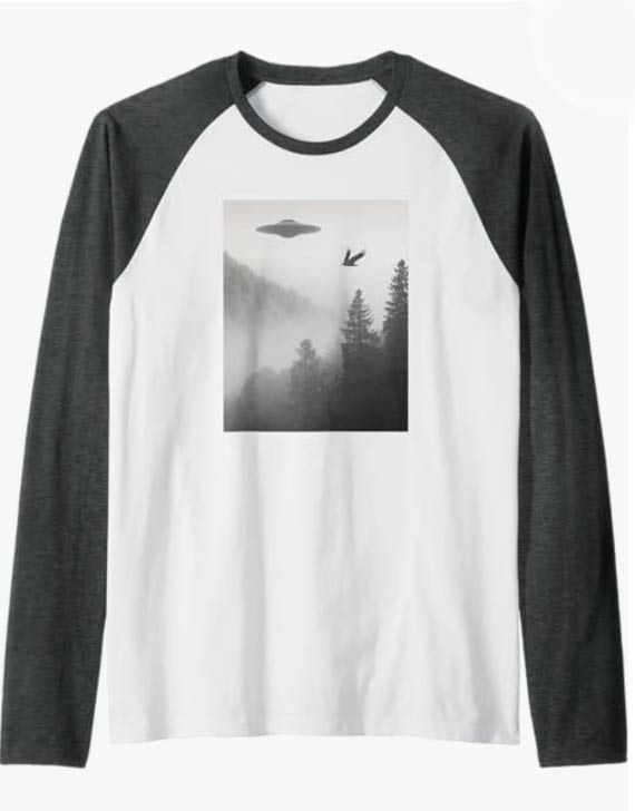 ufo in nature with bird raglan black and white photograpy